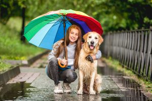 Read more about the article Why Must Walking Shelter dogs